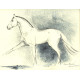Hřebec Araskh /Iránský kůň