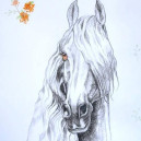 Fríský kůň,grafit
