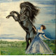 Černý fríský hřebec 30 x 30 akryl na plátně